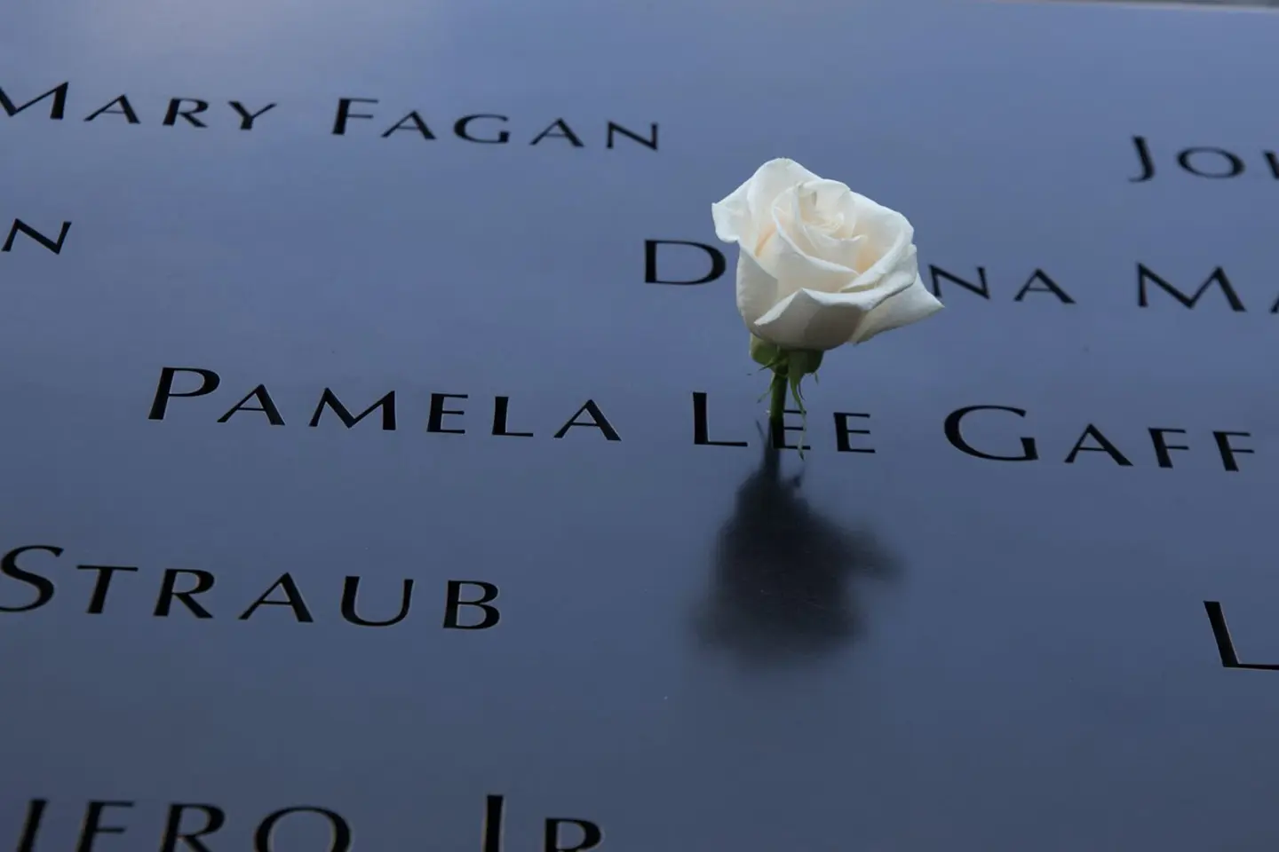 A single white rose placed on a memorial in Manhattan with engraved names.